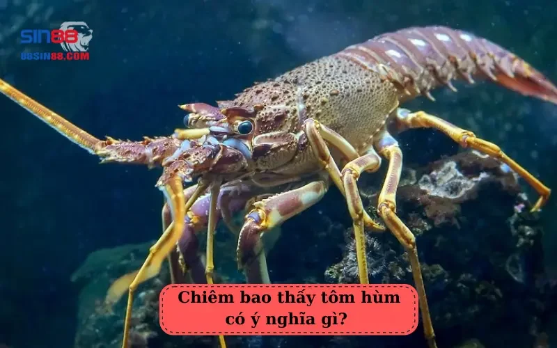 Chiêm bao thấy tôm hùm có ý nghĩa gì?